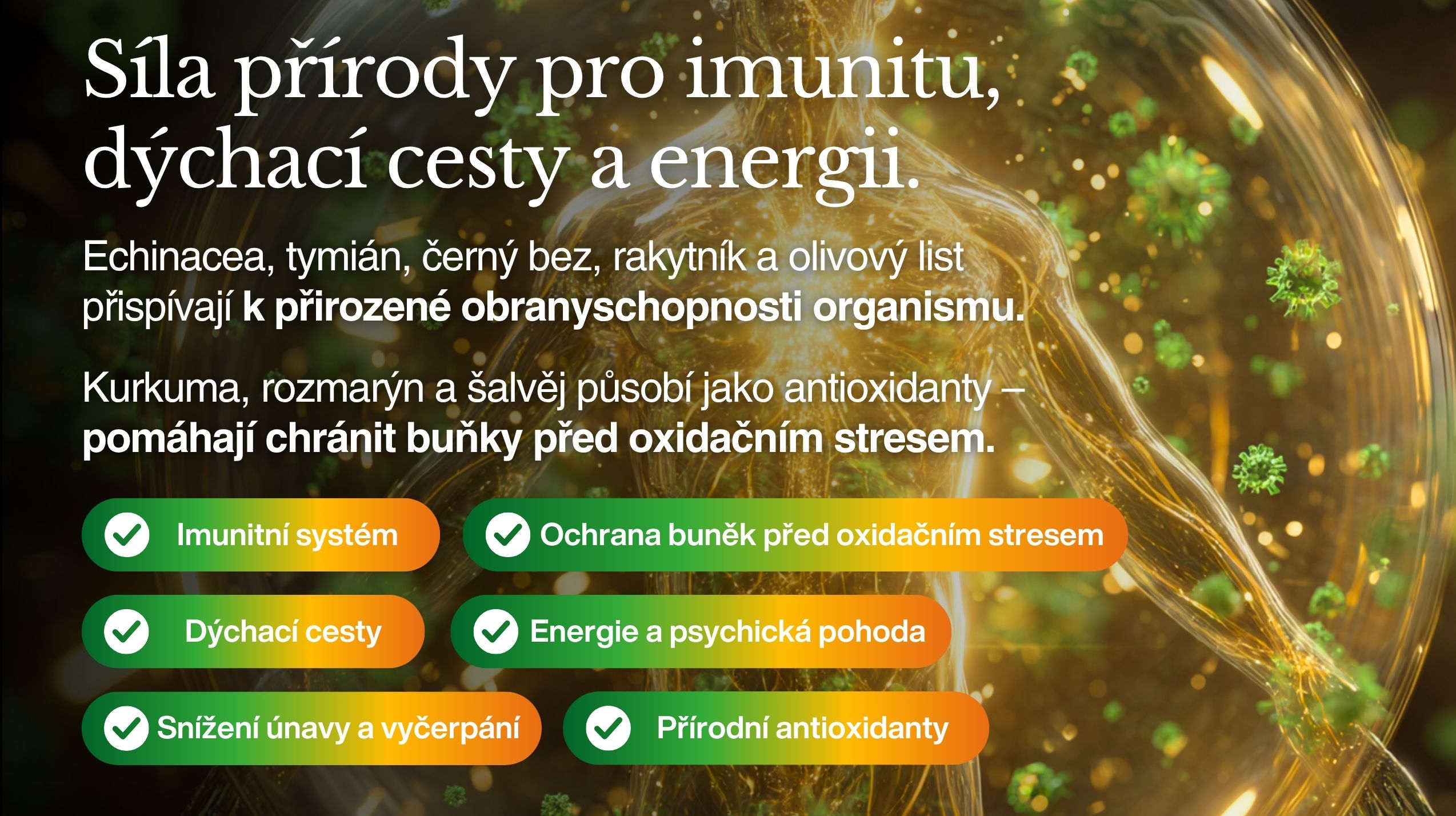 Betaglukan PREMIUM ULTRA IMUNITA KOMPLEX (+ Reishi, kurkuma, vitální houby, bylinné extrakty, Glutathion, NAC), 20 nejúčinnějších přírodních látek pro imunitu, 60 kapslí -3